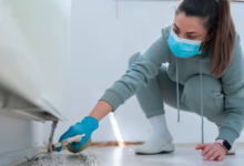 How to Safeguard Your Home Against Common Pests