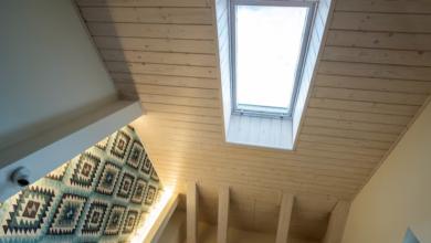 Brightening Your Home with Roof Windows for Modern Extensions