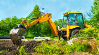 Expert Lawn Landscaping Solutions for Beautiful and Functional Yards 