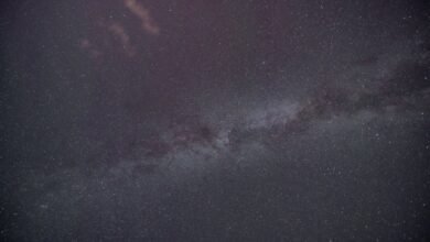 amplify conversions insight orbit