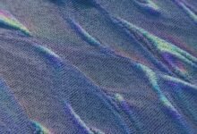 apex vector neural wave