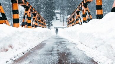 cosmic beam growth path