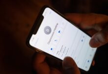 dial in number overview details