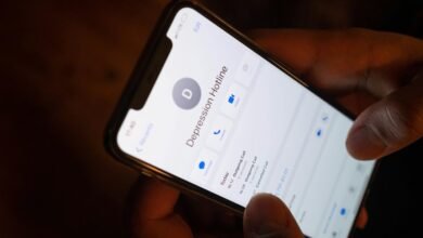 dial in number overview details