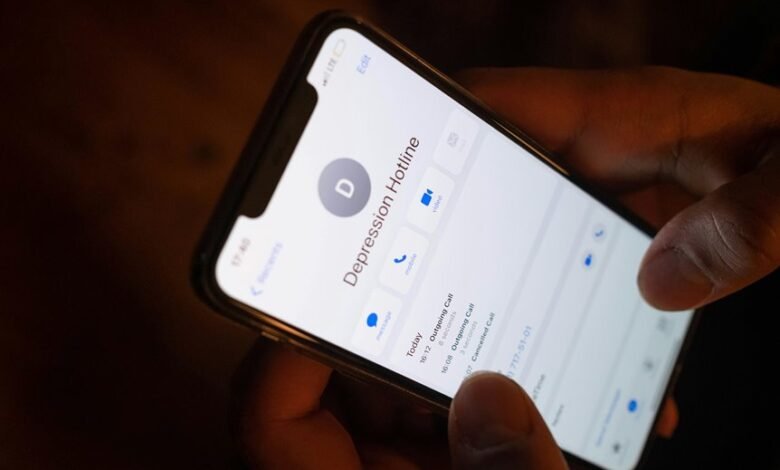 dial in number overview details