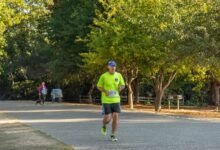 discover better paths daily