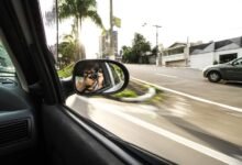 drive traffic 4079651698 signal lens