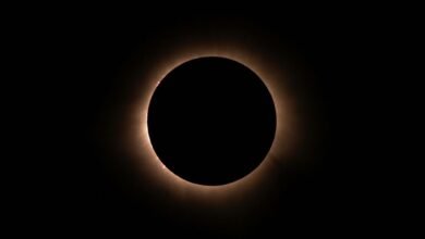 eclipse surge revenue node