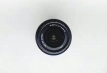 elevate online nexus lens