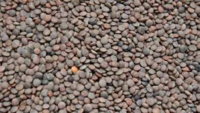 enhance market pulse lens