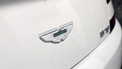 ignite branding lens nexus