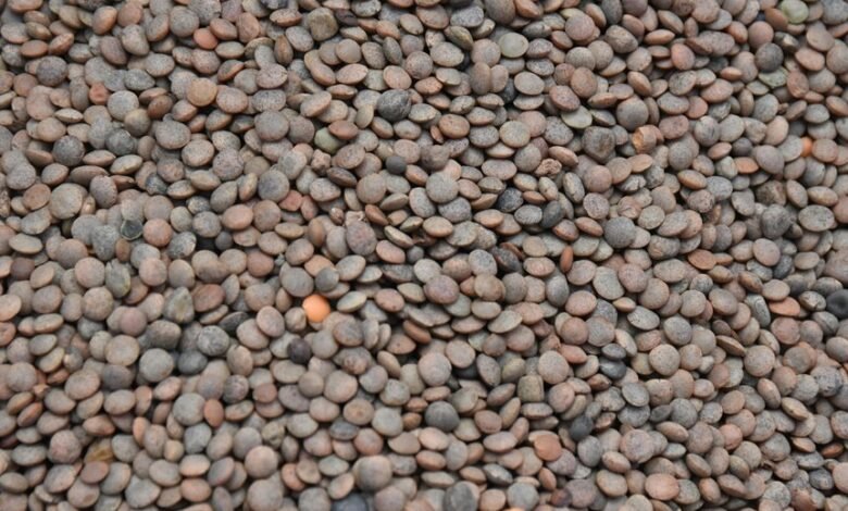 market pulse lens 4252243980