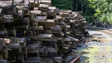 network tracking overview linked to 3478435466863762 and feedback logs