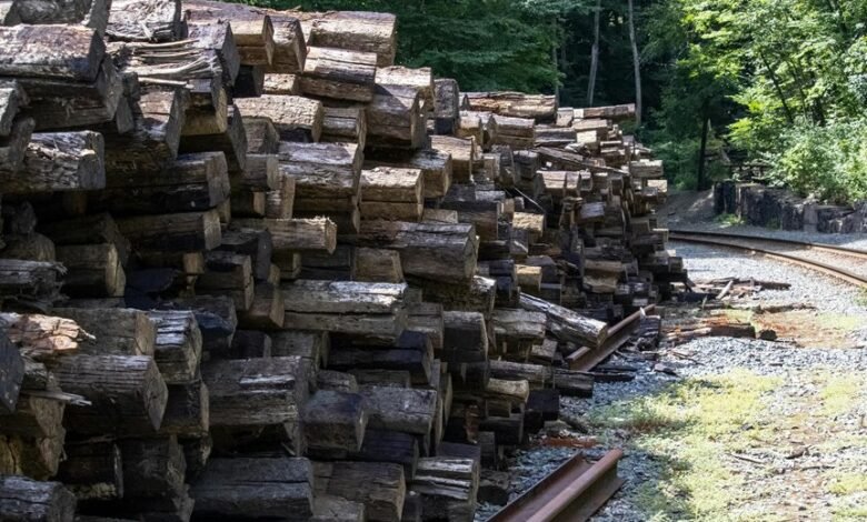 network tracking overview linked to 3478435466863762 and feedback logs