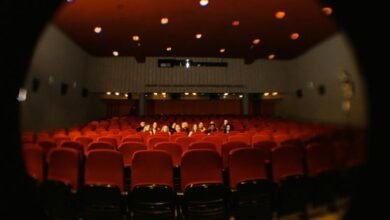 optimize audience horizon lens