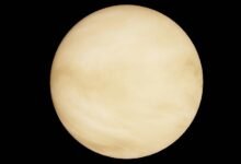 radiant orbit market path