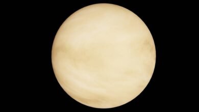 radiant orbit market path