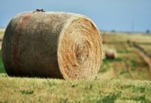 titan beam expansion node model