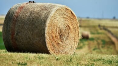 titan beam expansion node model