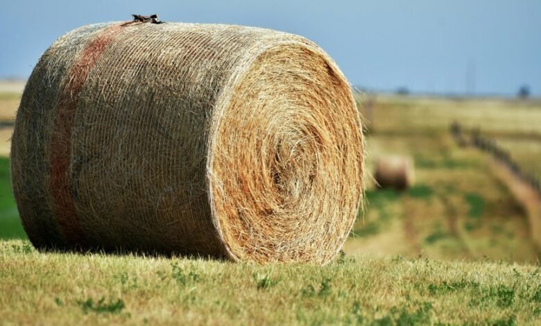 titan beam expansion node model