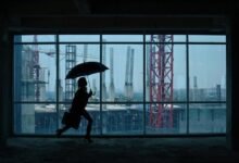 business expansion framework code