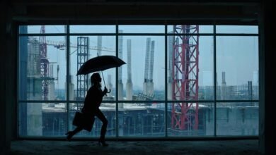 business expansion framework code