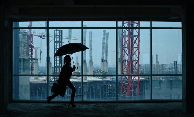 business expansion framework code