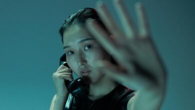 contact matrix phone lookup insights