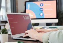 digital domination playbook code 3024137472