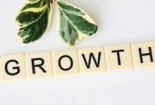 digital growth system kjdtgkfytn