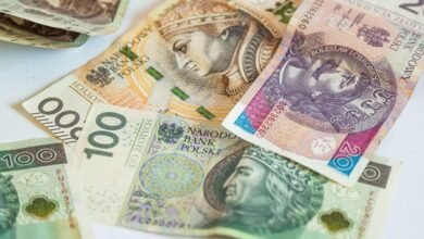 income builder company identifier system