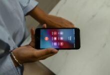 reverse phone lookup guide excerpt