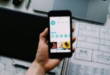 social authority blueprint by unatal vale