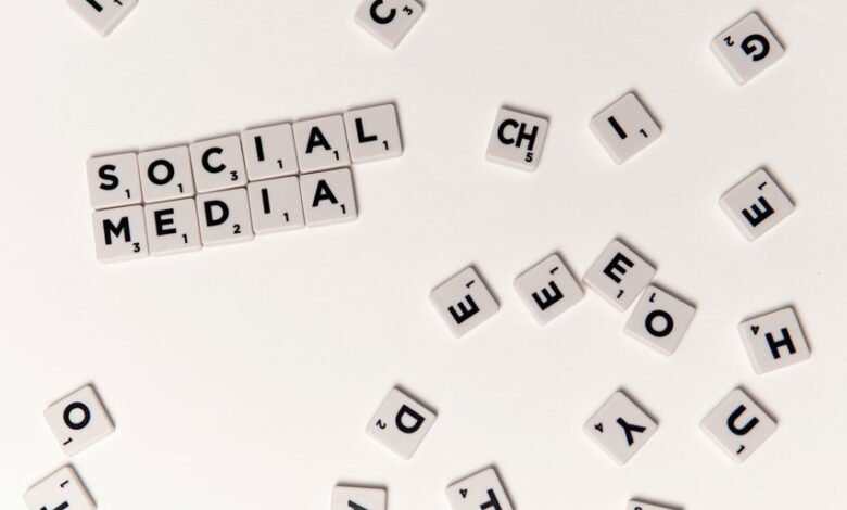 social media blueprint code 4164916341