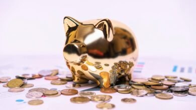 wealth strategy framework identifier