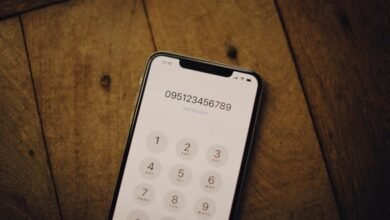 phone numbers and domain data