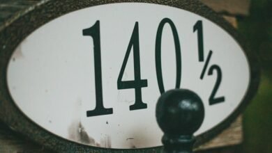 system entry phone numbers ips