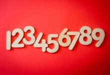 complete numbers for background search