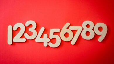 list of phone numbers for verification