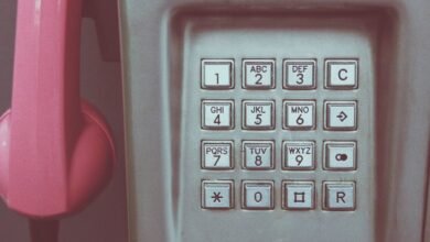 phone numbers listed for lookup