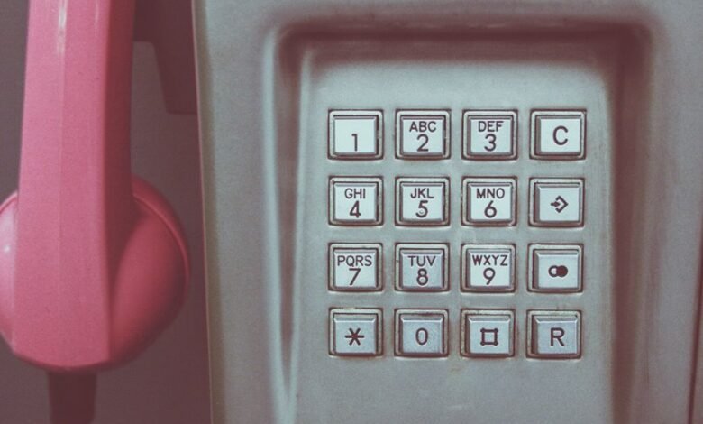 phone numbers listed for lookup