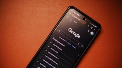 phone numbers lookup results