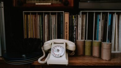 public numbers record access request