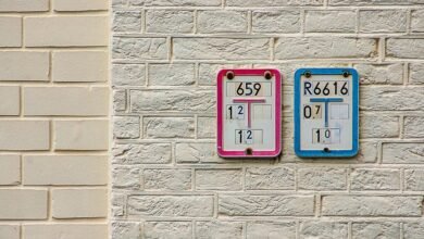 public registry ids details summarized