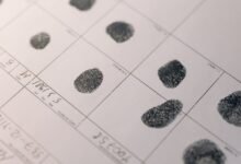 public registry ids search results