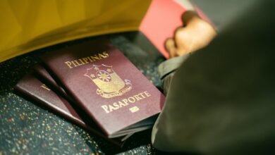 registry entries identified by numbers specified