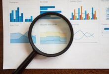 registry entries show verification insights
