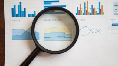 registry entries show verification insights