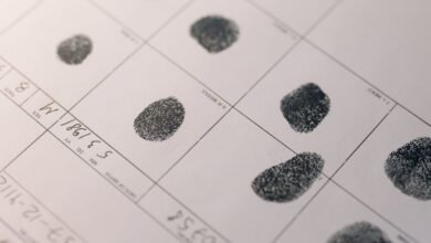 registry investigation records identifiers listed