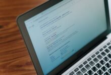 registry search insights ids listed